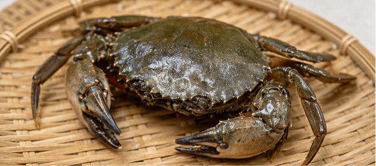 Cover image for “Soy-Marinated Crab: Using Rock Crabs Instead of Flower Crabs — A Guide to Boryeong Stone Crabs”